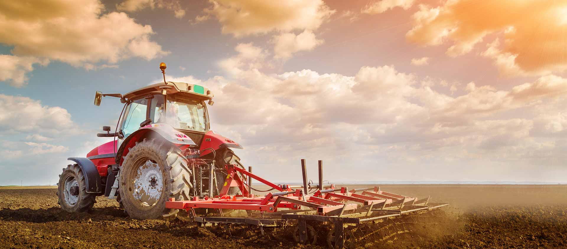 Tractor in an agricultural field